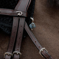 Pierre Lucky Charm Kentucky Schwarz
