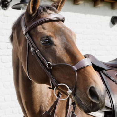 Dy'on Hybrid-Nasenriemen fürs Reiten – New English