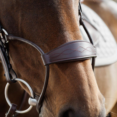 Dy'on Hybrid-Nasenriemen fürs Reiten – New English