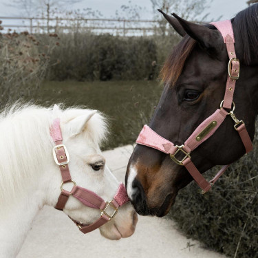 Kentucky Halfter Samt Einhorn – Pferdehalfter Reitsport