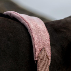Kentucky Halfter Samt Einhorn – Pferdehalfter Reitsport