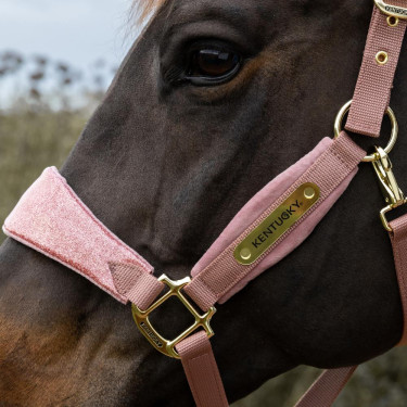 Kentucky Halfter Samt Einhorn – Pferdehalfter Reitsport