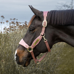 Kentucky Halfter Samt Einhorn – Pferdehalfter Reitsport