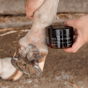 Pferdepflege: Anti-Milben Schlammcreme Plus – Equi-Clic Pferdepflege: Anti-Milben Schlammcreme Plus – Equi-Clic