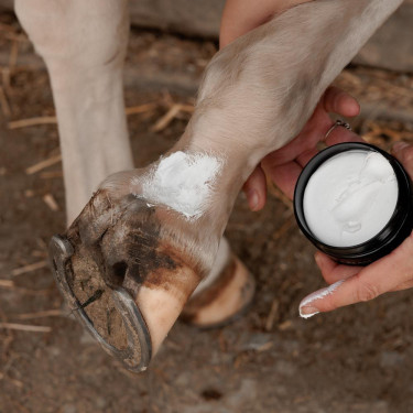 Pferdepflege: Anti-Milben Schlammcreme Plus – Equi-Clic Pferdepflege: Anti-Milben Schlammcreme Plus – Equi-Clic