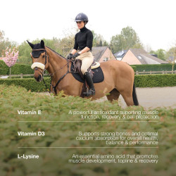 Pferde Vitamin-Booster für Turnier & Regeneration | Kentucky Pferde Vitamin-Booster für Turnier & Regeneration | Kentucky