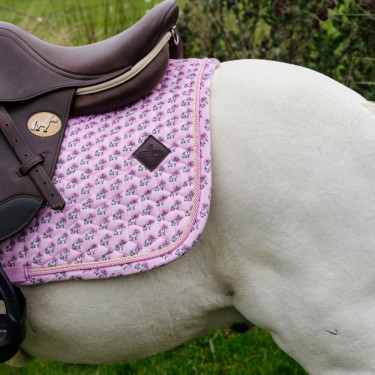 Kentucky Sammy Schabracke Springen – Reitbedarf online Kentucky Sammy Schabracke Springen – Reitbedarf online