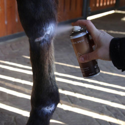 Zink-Spray für Pferdehaut & Hufe | Kentucky – Equi-Clic Zink-Spray für Pferdehaut & Hufe | Kentucky – Equi-Clic