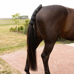 Schweifschoner fürs Pferd – Pro Kentucky | Equi-Clic