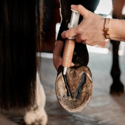 Kentucky Zinkpaste – Hufpflege fürs Pferd | Equi-Clic