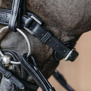 Dy’on Reithalfter geflochten, Pull-Back – Reitausrüstung Dy’on Reithalfter geflochten, Pull-Back – Reitausrüstung