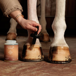 Huföl für Pferde Shine Grooming Deluxe – Kentucky