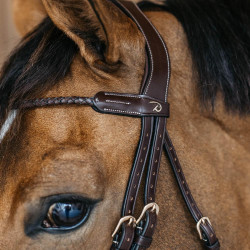 Geflochtenes Stirnband fürs Pferd Dy’on D – Reitausrüstung Geflochtenes Stirnband fürs Pferd Dy’on D – Reitausrüstung