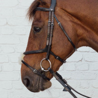 Geflochtener Kombinierter Nasenriemen New English Collection Dy'on Schwarz