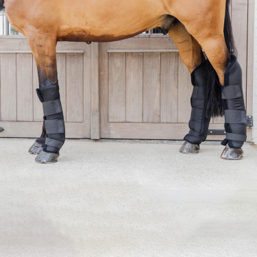 Stallgamaschen für Vorderbeine lang – Kentucky | Reitzubehör Stallgamaschen für Vorderbeine lang – Kentucky | Reitzubehör