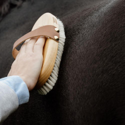 Pferdebürste weich Rosshaar & Kunstfell – Equi-Clic