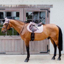 Kentucky Schabracke Jumping – Reitzubehör bei EQUI-CLIC