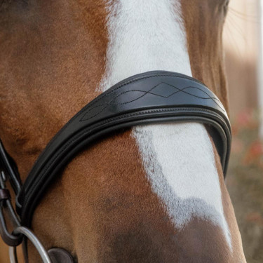 Dy'on Reithalfter anatomisch ohne Sperrriemen – Reiten