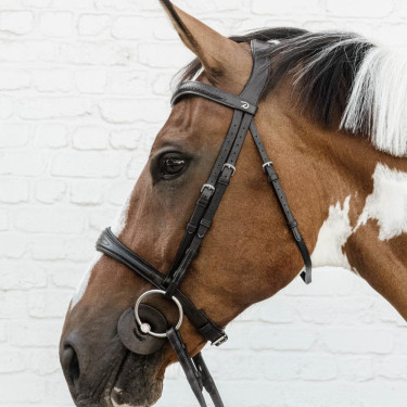 Dy'on Reithalfter anatomisch ohne Sperrriemen – Reiten