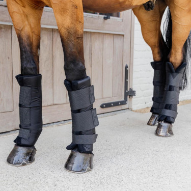Stallgamaschen für Pferde – Schutz & Therapie Stallgamaschen für Pferde – Schutz & Therapie