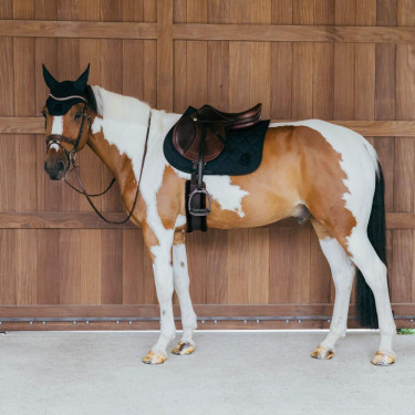 Satteldecke für Springreiten – Kentucky Wave Satteldecke für Springreiten – Kentucky Wave