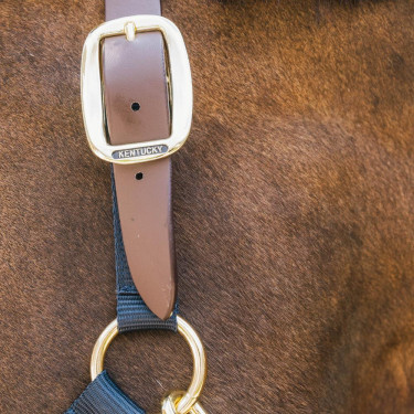 Kentucky Sicherheitshalfter für Pferde – Breakaway