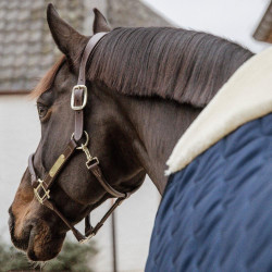 Stalldecke für Pferde – Komfort & Schutz im Stall Stalldecke für Pferde – Komfort & Schutz im Stall