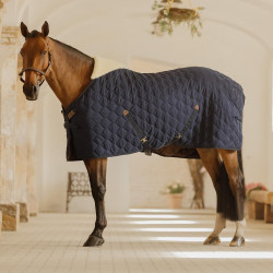 Stalldecke für Pferde – Komfort & Schutz im Stall Stalldecke für Pferde – Komfort & Schutz im Stall