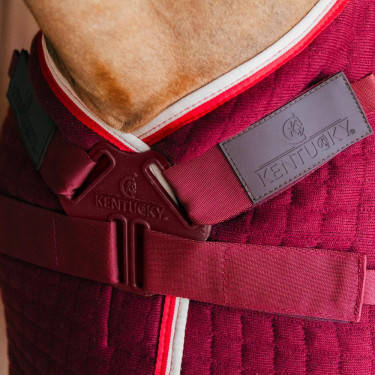 Abschwitzdecke für Pferde – Kentucky PROtherm