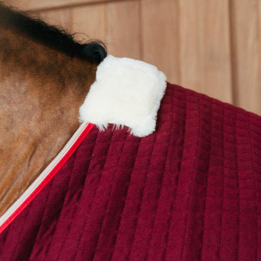 Abschwitzdecke für Pferde – Kentucky PROtherm