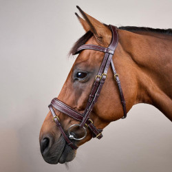 Anatomische Trense fürs Springen & Eventing – Dy'on Anatomische Trense fürs Springen & Eventing – Dy'on