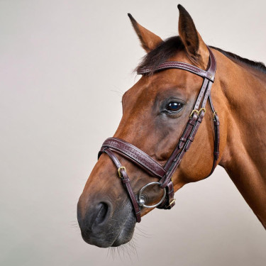 Anatomische Trense fürs Springen & Eventing – Dy'on Anatomische Trense fürs Springen & Eventing – Dy'on