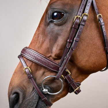 Anatomische Trense fürs Springen & Eventing – Dy'on Anatomische Trense fürs Springen & Eventing – Dy'on
