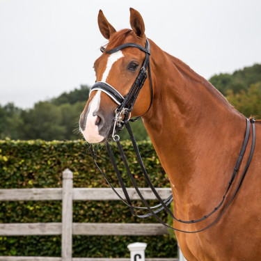 Dy'on Dressur Reithalfter breit Lack mit Weißfutter – Equi-Clic