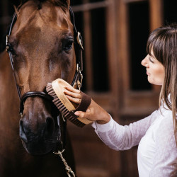 Pferdebürste weich – Grooming Deluxe Kentucky | Reiten