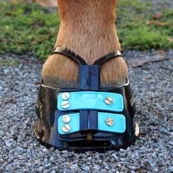 Schlammschutzriemen Scoot mud strap