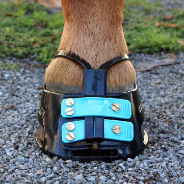 Schlammschutzriemen Scoot mud strap