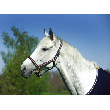 Nylonhalfter mit Leder unterlegt Norton Nylonhalfter mit Leder unterlegt Norton