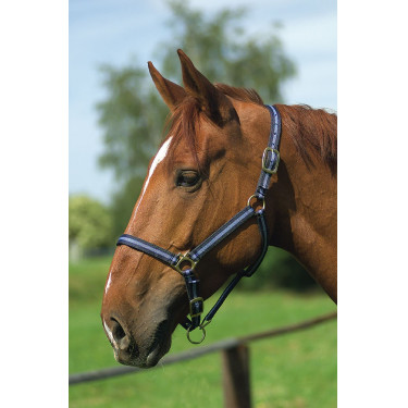 Nylonhalfter mit Leder unterlegt Norton Nylonhalfter mit Leder unterlegt Norton