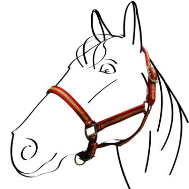 Nylonhalfter mit Leder unterlegt Norton Nylonhalfter mit Leder unterlegt Norton