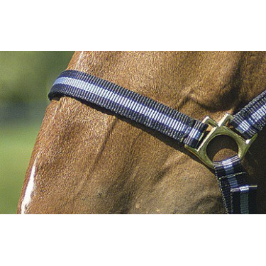 Nylonhalfter mit Leder unterlegt Norton Nylonhalfter mit Leder unterlegt Norton