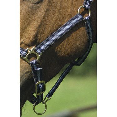 Nylonhalfter mit Leder unterlegt Norton Nylonhalfter mit Leder unterlegt Norton