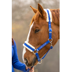 Halfter & Führstrick fürs Pferd Harcour Teschic – Reitsport