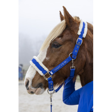 Halfter & Führstrick fürs Pferd Harcour Teschic – Reitsport