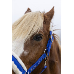 Halfter & Führstrick fürs Pferd Harcour Teschic – Reitsport
