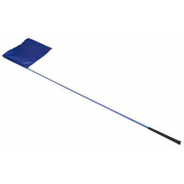 Desensibilisierungsflagge T de T Desensibilisierungsflagge T de T