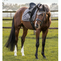 Satteldecke CSO Night Collection Back On Track Grau