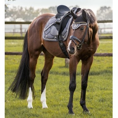 Satteldecke CSO Night Collection Back On Track Grau