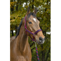 Halfter + Führstrick Equitheme Satiniert Marine / Fuchsie Blau Halfter + Führstrick Equitheme Satiniert Marine / Fuchsie Blau