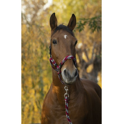 Halfter + Führstrick Equitheme Geflochten Halfter + Führstrick Equitheme Geflochten